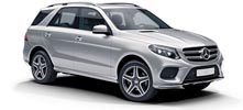 13-gle.jpg